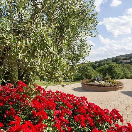 Poggio Pellicciaia Villa Arezzo Eksteriør billede